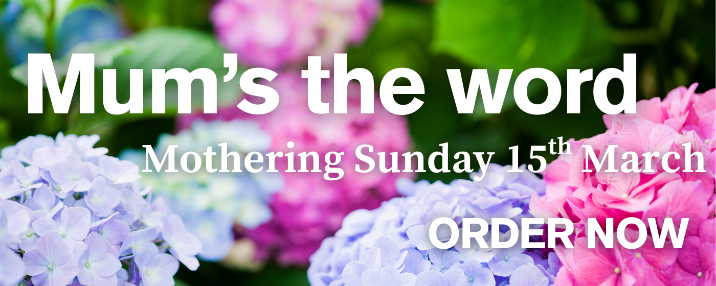 Seasonal bouquets from BLÜM Floral in Bolsover offering same-day delivery